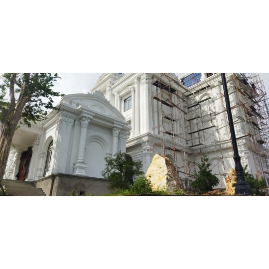 Mẫu 24