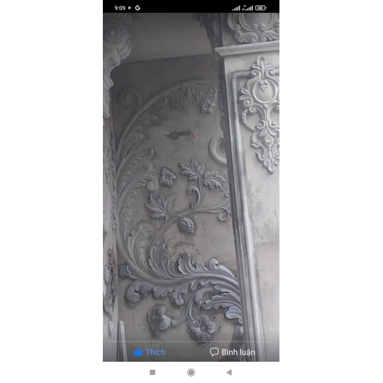 Mẫu 31